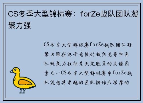 CS冬季大型锦标赛：forZe战队团队凝聚力强